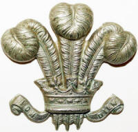 Denbighshire Yeomanry Capbadge