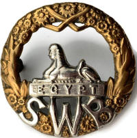 SWB capbadge